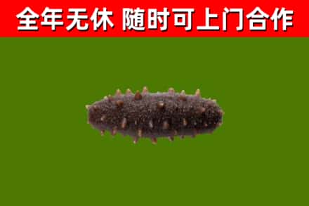 平舆烟酒回收干海参.jpg